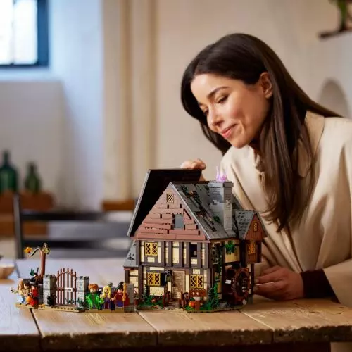 From screen to shelf. Iconic houses from fairy tales and movies in LEGO version