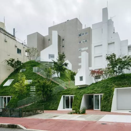 A hotel that forgot it was a building. Instead of demolishing it - it was allowed to grow