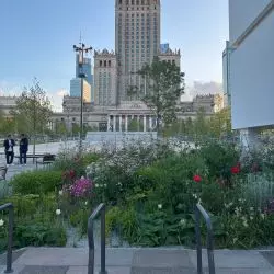 Plac Centralny w Warszawie