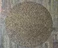 The Silence of Things - an exhibition of works by Janusz Osicki and Aleksandra Jozefow