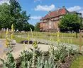 The main courtyard of SP 33 in Poznan - greenery that replaced asphalt