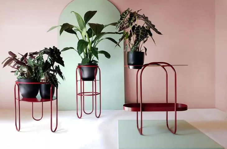 BonBon flowerbed collection