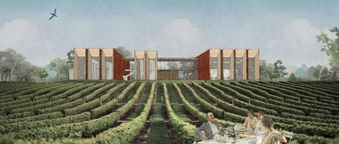 Nowa atrakcja w Dolinkach Krakowskich? Projekt winnicy w Kobylanach koło Krakowa