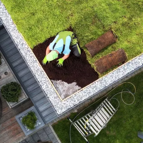Dachy zielone – ekologiczna rewolucja w miejskiej architekturze dzięki swissporGREEN System