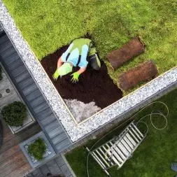 Dachy zielone – ekologiczna rewolucja w miejskiej architekturze