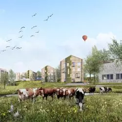 Wioska studencka na kampusie w Helsinkach