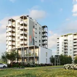 Zatoka Czerwonych Świń na Wilanowie, projekt modernizacji