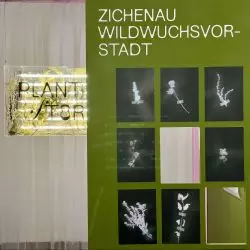 Wystawa Barbary Nawrockiej w Muzeum Architektury we Wrocławiu