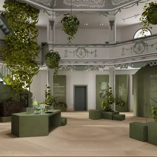 Pothos exhibition, or when nature meets architecture