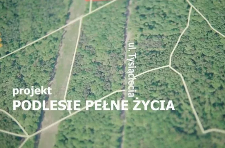 What will the Podlesie park in Dąbrowa Górnicza look like?