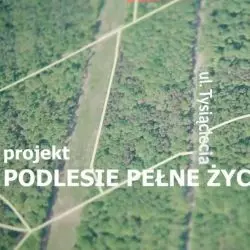 Park Podlesie w Dąbrowie Górniczej