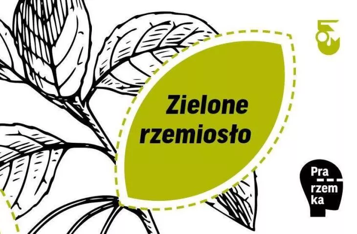 Zielone rzemiosło – warsztaty rzemieślnicze online