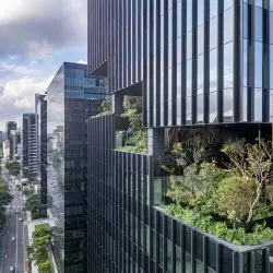 Salma Tower – pionowy las w sercu São Paulo