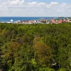 Widok z latarni morskiej na lasy w pobliżu ulicy Kuracyjnej na Cyplu Helskim, gdzie powstać ma kurort Hel Happiness