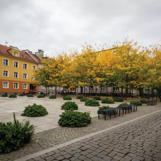 Wyróżnienie Mister Architektury Województwa Opolskiego 2017–2020