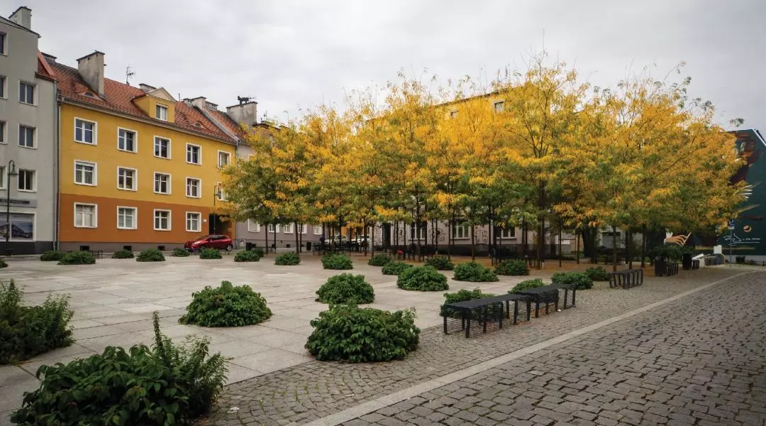 Wyróżnienie Mister Architektury Województwa Opolskiego 2017–2020
