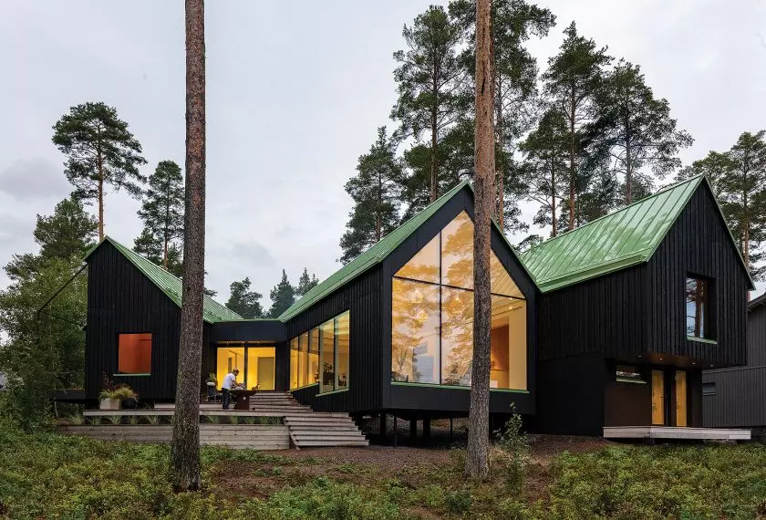 Dogs & Doctors house, Finland, by Pirinen Salo. GreenCoat Pural BT in Pale Green.