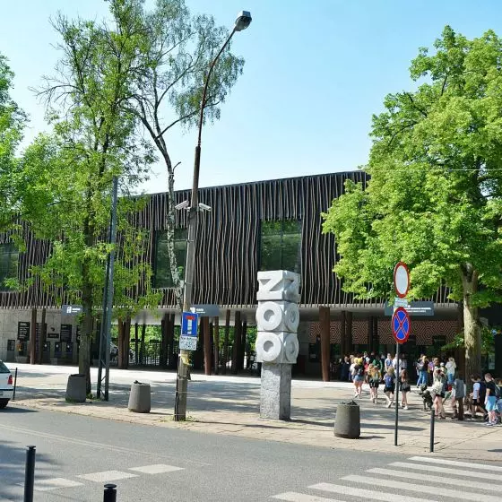 Konkurs na Pawilon Żywiołów w łódzkim Zoo