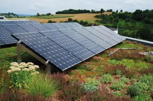 Zielony dach w technologii ZinCo – inwestycja, która się zwraca