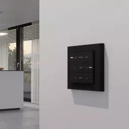 Czujnik przyciskowy 4 System 55 Gira