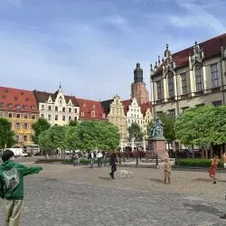 zielone inicjatywy we Wrocławiu