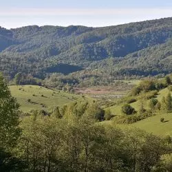widok na wieś Krywe