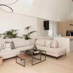 Atrium House