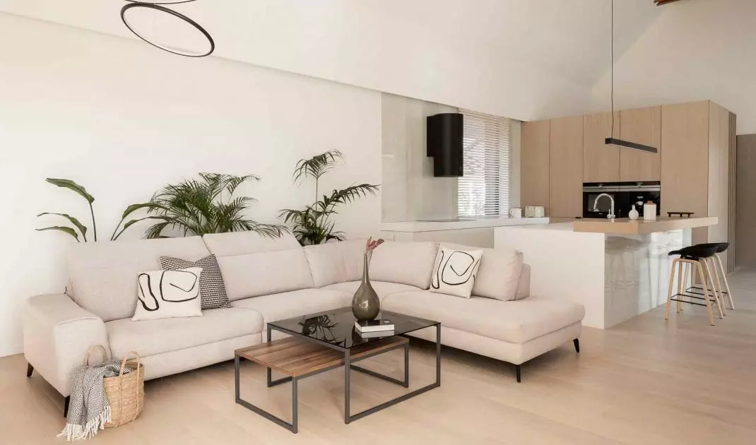 Atrium House