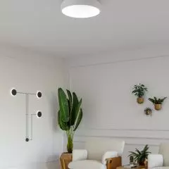 Kinkiet MAXI POINT spider