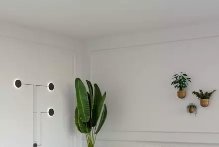 Kinkiet MAXI POINT spider