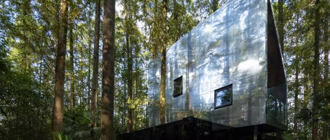 Architecture that doesn't want to be seen. Secret Wiki World Camp in a forest of metasequoias