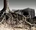 O poszukiwaniu tożsamości w polskiej architekturze