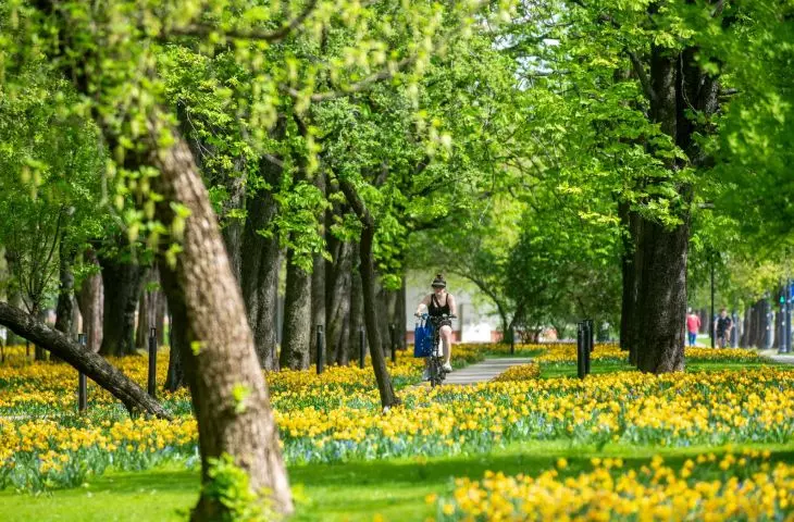 I Nagroda w kategorii Rewitalizowana przestrzeń publiczna w zieleni