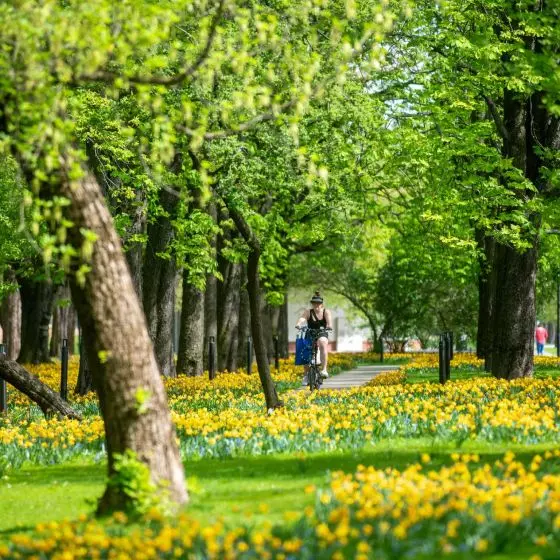 I Nagroda w kategorii Rewitalizowana przestrzeń publiczna w zieleni