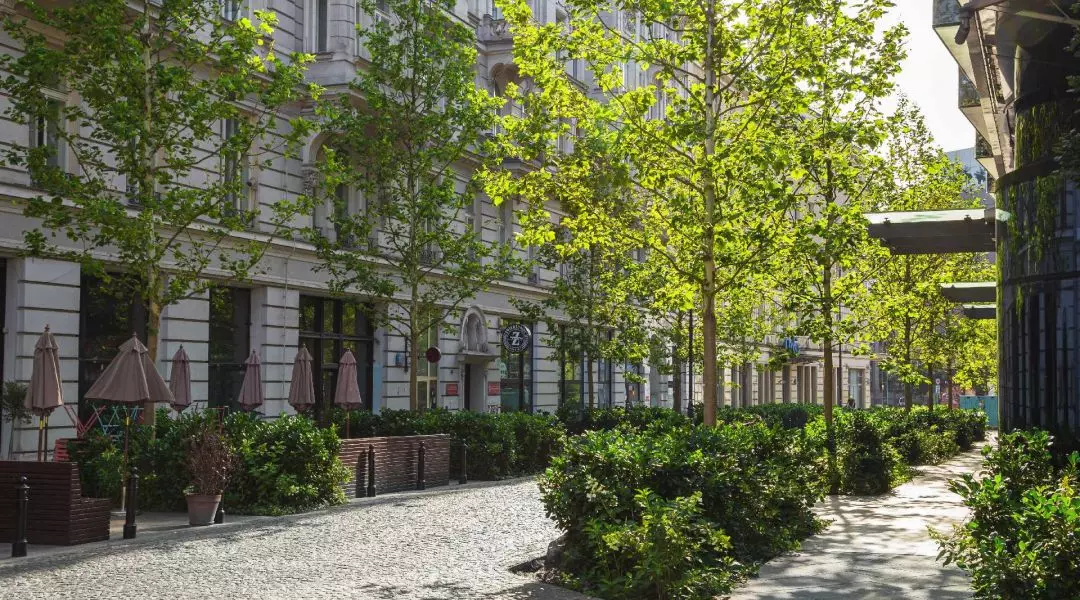 I Nagroda w kategorii przestrzeń publiczna komunikacji