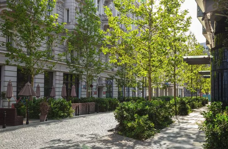 I Nagroda w kategorii przestrzeń publiczna komunikacji