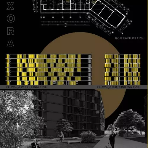 A luminous future. How to design energy efficient?