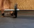 EPUGYM
