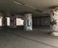 Wild City - nowy mural w Krakowie
