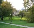 Competition for design of Kazimierz Park and 