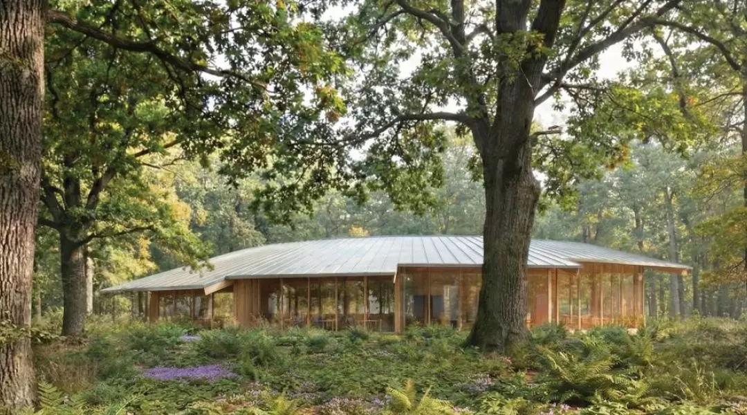 III Nagroda, proj.: JANUS architektura, Piotr Pasierbiński