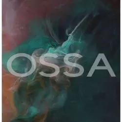OSSA 2020 Kraków: Eksperyment