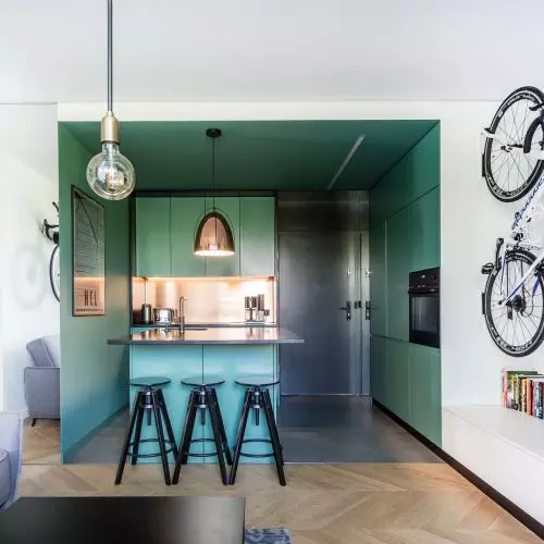 Green apartment in Krakow designed by SPOIWO Studio