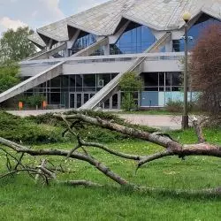 hala Arena w poznańskim parku Kasprowicza
