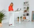 DEWA electrically adjustable desk