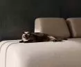 FRANK sofa