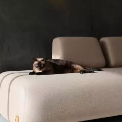 Sofa FRANK