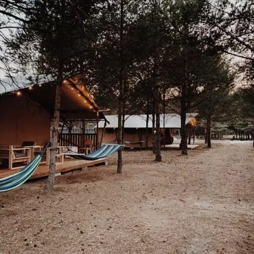 Glamping Kwiejcówka – odpoczynek w środku lasu inny niż wszystkie