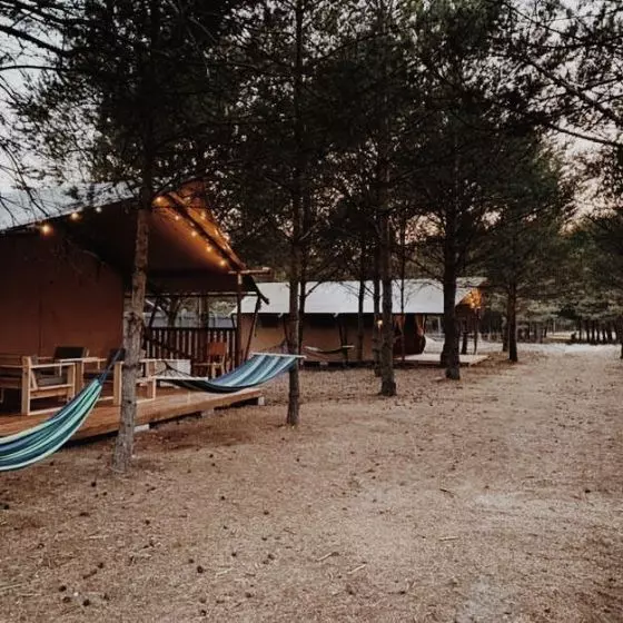 Glamping Kwiejcówka