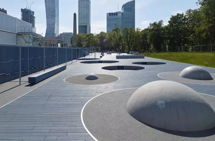 Sports in the shadow of the Palace of Culture, or the effect of a citizens' initiative
